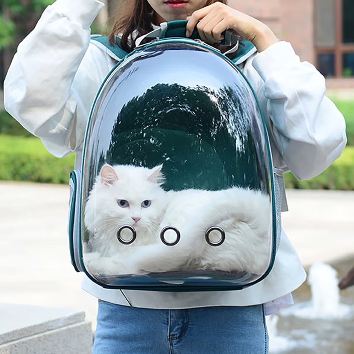 Mochila De Transporte Visao Panoramica